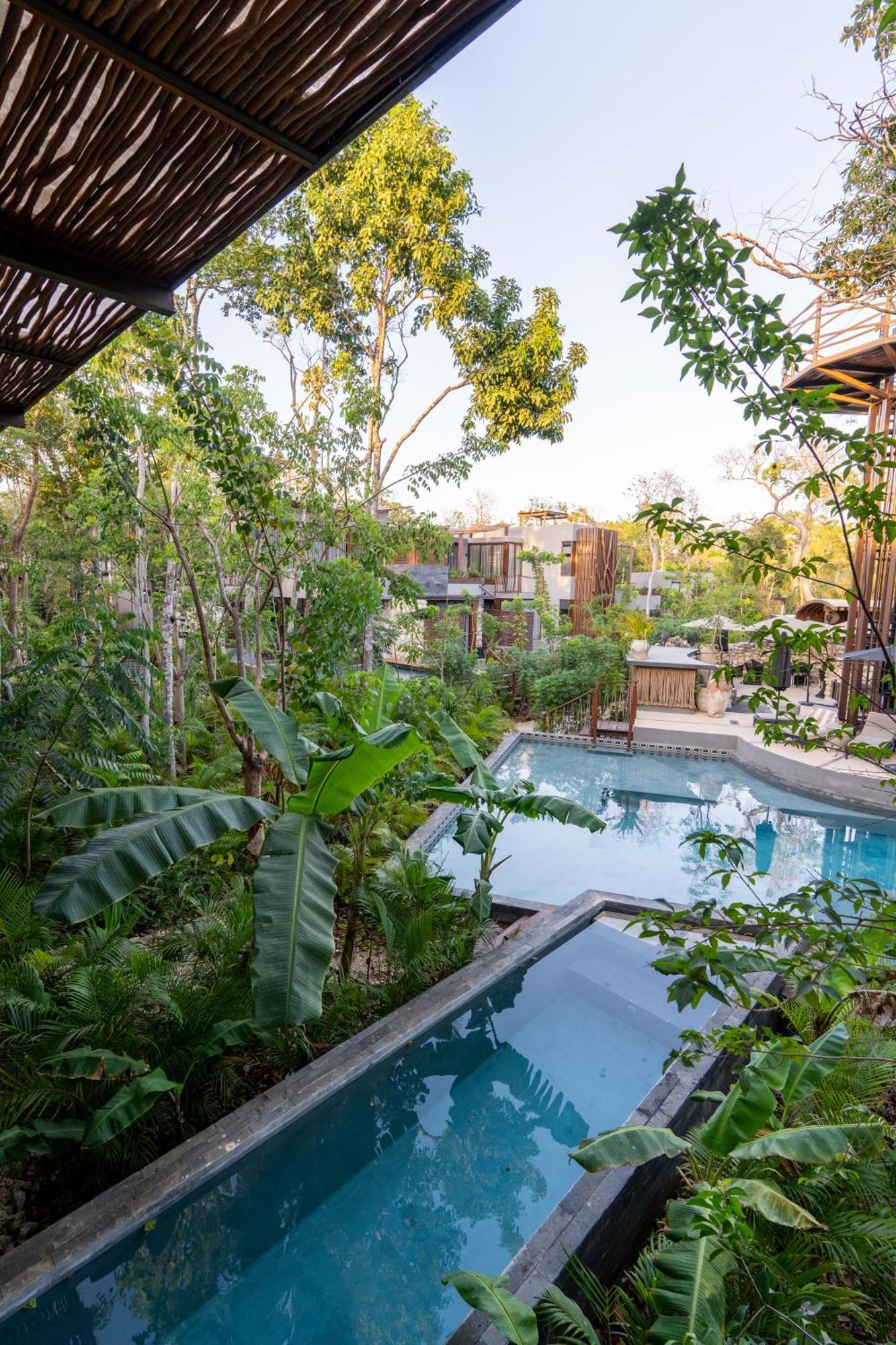 Karma De Luxe, Bassin Prive Et Rooftop Appartement